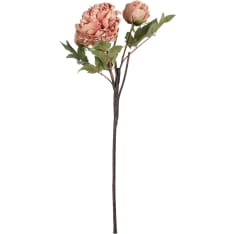 Mica 65Cm  tekokasvi pioni