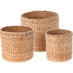 H&S basket