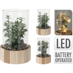 H&S 14x23cm led decorative plant in glass