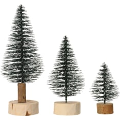Everland’s mini fir trees
