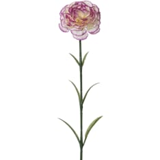 Everlands Neilikka 57cm tekokukka