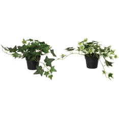Everlands Muratti artificial grass assortment
