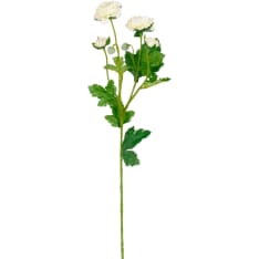 Mica Ranunculus cream 60cm tekokukka