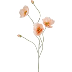 Mica Poppy Peach 107cm tekokukka