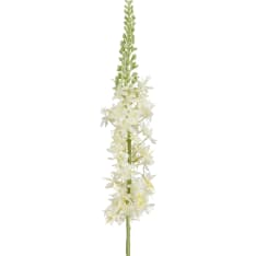 Mica Eremurus white 90cm tekokasvi