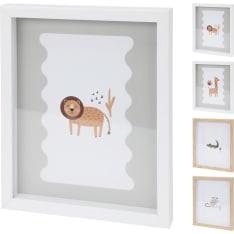 H&S frame