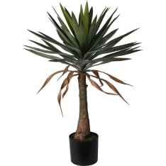KM 90 cm Jupiter palm tree