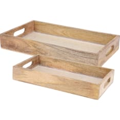 H&S tray