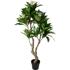 KM Frangipani 150cm artificial plant