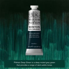 Winsor & Newton Winton 37ml 250 öljyväri