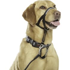 Halti Headcollar musta kuonopanta