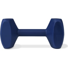 Coachi Dumbbell Dog Toy