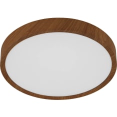 Eglo Musurita puu plafondi