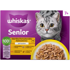 Whiskas 7+ 12x85g Siipikarjaa hyytelössä