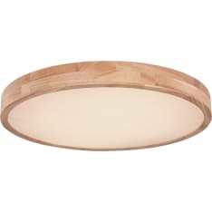 Globo Rainer CCT LED ceiling