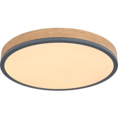 Globo Doro LED ceiling lights