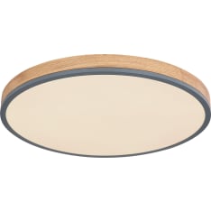 Globo Doro CCT LED plafondi