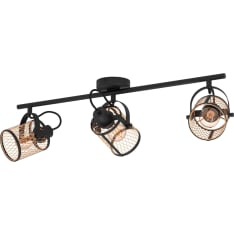Eglo Dellow 3-piece spotlight