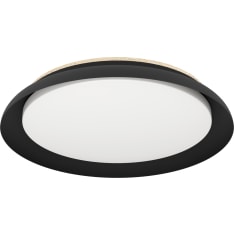 Eglo Penjamo 1 plafondi