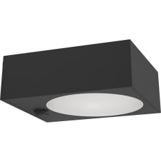 Eglo Darfano 6,5W LED 4000K 934lm musta aurinkokennoseinävalaisin tunnistimella