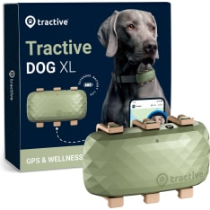 Tractive DOG XL GPS-paikannin koirille