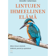 Jennifer Ackerman: The Wonderful Life of Birds