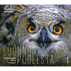 Teuvo Suominen, Pekka Punkari: For nature - Testament of the father of environmental protection