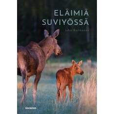 Juho Rahkonen: Animals in the summer night