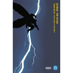 Batman – Yön ritari