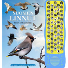 Reima Flyktman: Suomen Linnut - Suuri Lintuäänikirja