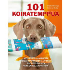 101 Koiratemppua