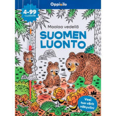 Learning and Joy Paint Finnish nature with water