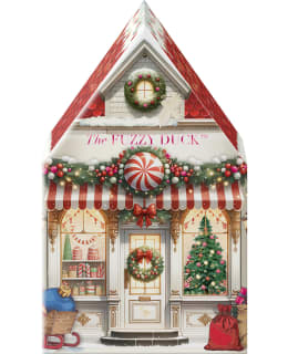 B&H FUZZY DUCK GINGERBREAD HOUSE SETTI Main Image
