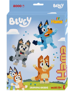HAMA BLUEY SILITYSHELMISETTI Main Image