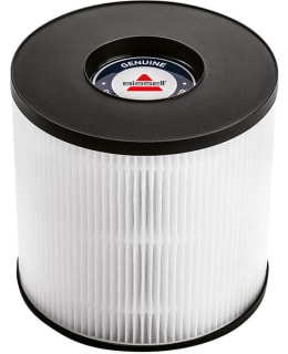 BISSELL FILTER FOR MYAIR HEPA & CARBON Main Image