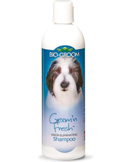 BIO-GROOM GROOM'N' FRESH 355 ML SHAMPOO Main Image