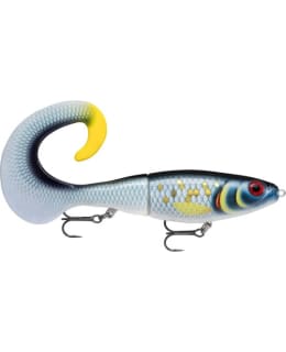 RAPALA X-RAP OTUS 17CM SCRB VIEHE Main Image