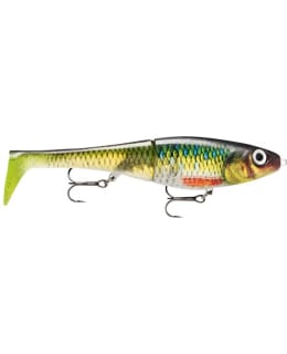 RAPALA X-RAP PETO 20 RNR VAAPPU Main Image