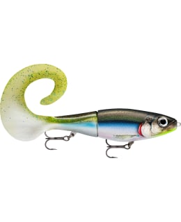 RAPALA X-RAP OTUS 17CM RADIO SMELT VIEHE Main Image