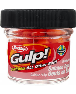 BERKLEY GULP SALMON EGGS FL ORANGE Main Image