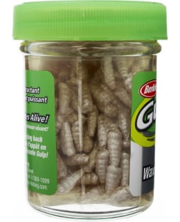 BERKLEY ALIVE WAXIES WHITE SYÖTTI Main Image