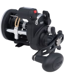 PENN 1403999 RIVAL LEVEL WIND 20LC STAR Main Image