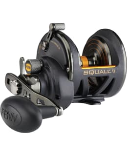 PENN 1522169 SQUALL II 25N STAR DRAG 7BB Main Image