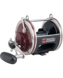 PENN 1187312 SPECIAL SENATOR 114W STAR D Main Image