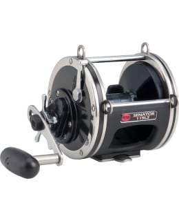 PENN 1199904 SENATOR STAR DRAG 115 STAR Main Image