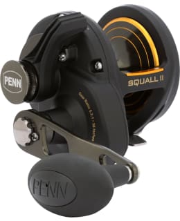 PENN 1594613 SQUALL II 25 LEVER DRAG 5BB Main Image