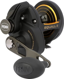PENN 1594614 SQUALL II 30 LEVER DRAG 5BB Main Image