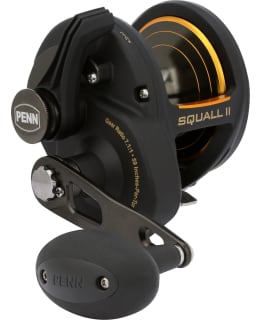PENN 1594615 SQUALL II 40 LEVER DRAG 5BB Main Image