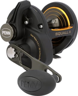 PENN 1594616 SQUALL II 40 LEVER DRAG 5BB Main Image