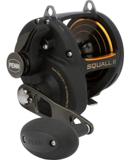 PENN 1594617 SQUALL II 50 LEVER DRAG 5BB Main Image